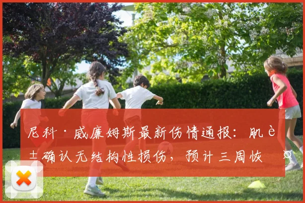 尼科·威廉姆斯最新伤情通报：肌腱确认无结构性损伤，预计三周恢复，全力冲刺2026世界杯